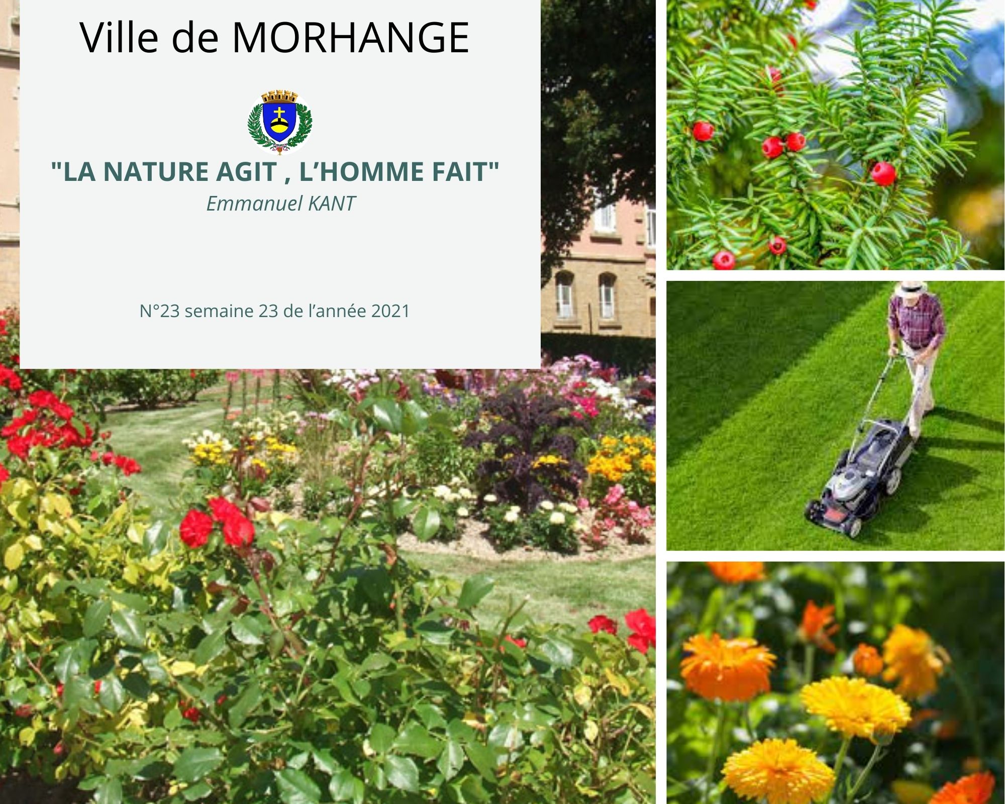 La nature agit, l'homme fait : Semaine 23